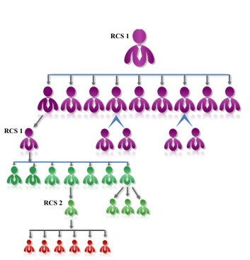 Overview of Generation plan