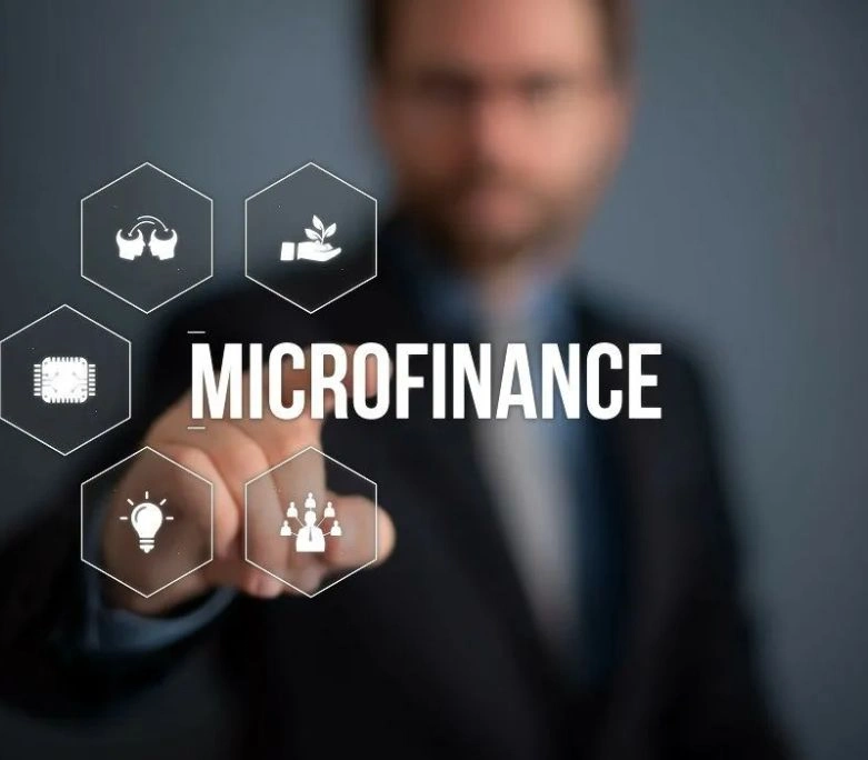 Microfinance Software Service
